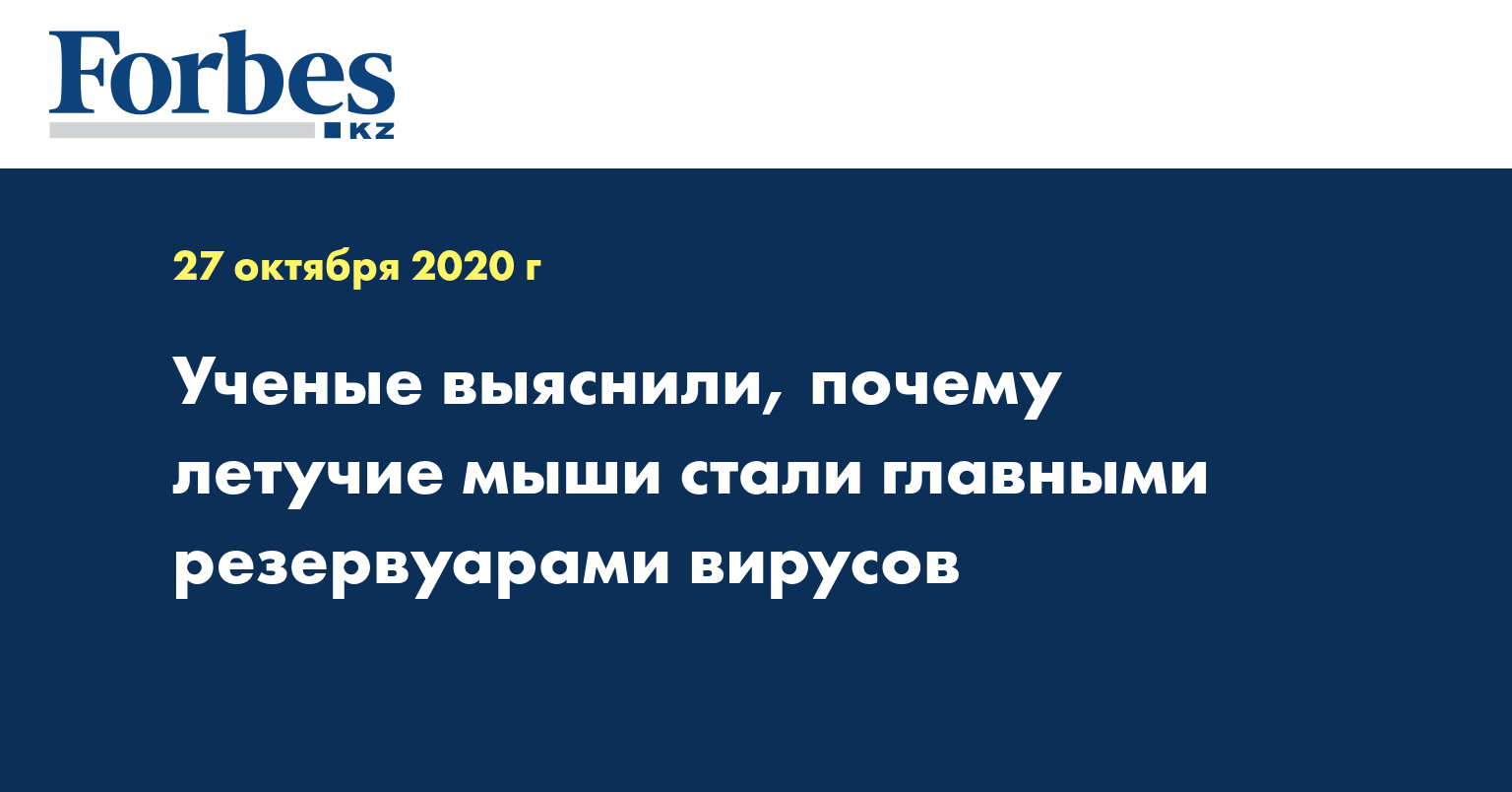 Ученые выяснили, почему летучие мыши стали главными резервуарами вирусов