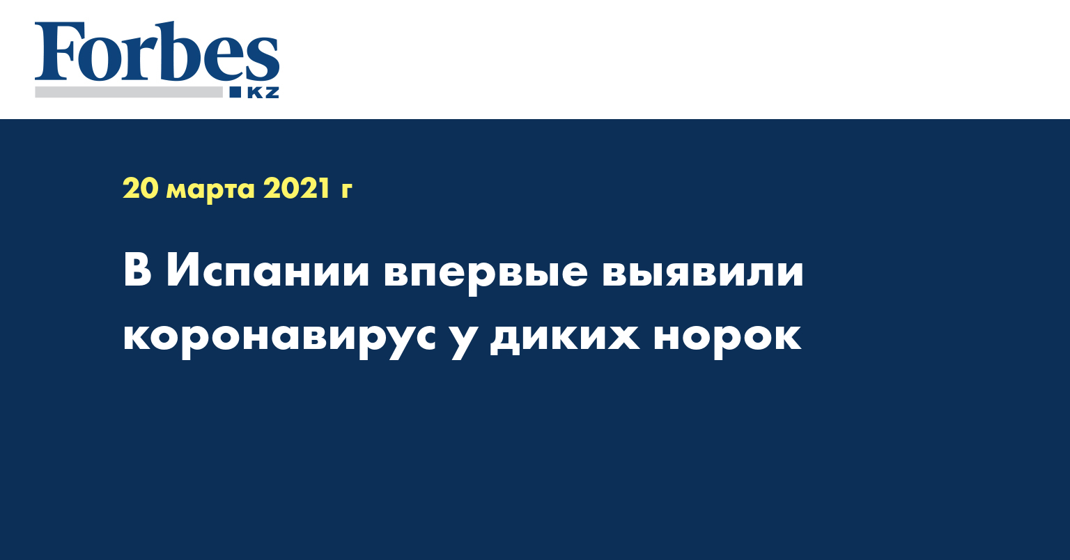 В Испании впервые выявили коронавирус у диких норок