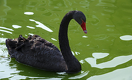 Five Steps to Effectively Recalibrating Your Strategic Plans