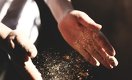 Казахстан готов поставлять муку в страны Центральной Азии только при соблюдении ряда условий