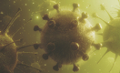 Вирус SARS-CoV-2 как «великий уравнитель» 