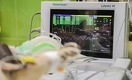 Названо заболевание, повышающее риск смерти при COVID-19 в 12 раз