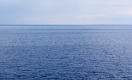 «Спасите Каспийское море»: ученые бьют тревогу и просят о помощи