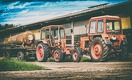 Как связаны ФК «Барселона» и Беларусь