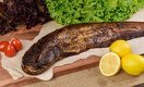Казахстанская рыбная ферма намерена заполнить рынок экологически чистой рыбой по адекватной цене