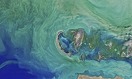 Ученые: Каспийское море обмелеет на треть