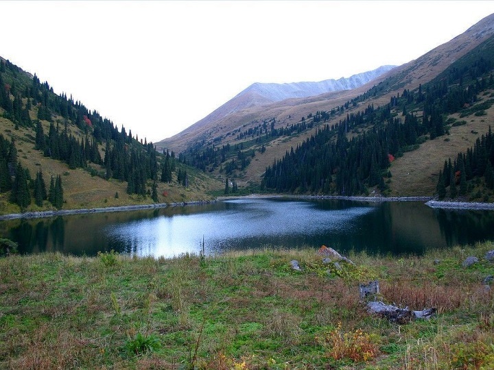 Природа Алматинской области