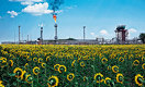 Сколько потеряют нефтяники из-за популярности электромобилей