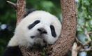 How to Live Better and Stop Destroying the Planet