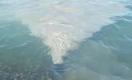 Слив сточных вод в Алаколь: какое наказание грозит гостинице  