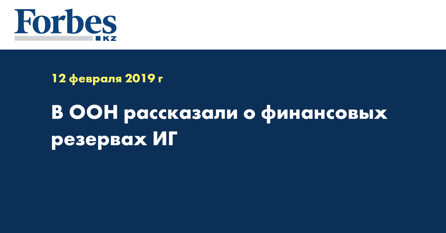 В ООН рассказали о финансовых резервах ИГ
