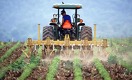 Системный сбой: сотни аграриев Казахстана лишились доступа к господдержке