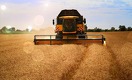 Какие страны Казахстан кормит зерном