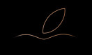 Apple представила свои новые смартфоны