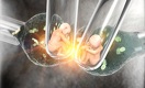 Embryos, Justice, and Personal Responsibility