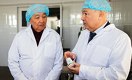 Метабиотик на основе саумала разработали казахстанские учёные