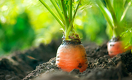 The Revolt Against Big Food