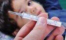 Власти пытаются справиться с паникой вследствие вспышки смертельной инфекции