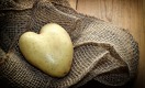 Что мешает казахстанскому картофелю захватить Европу 