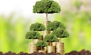 Resolutions Revisited: 5 Steps To Reenergize Your Money Life