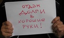 Госхолдинги: долги как спасательный круг 