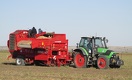 Почему аграрии ждут резкого роста цен на картофель в Казахстане