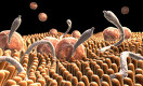 How Parasites Pull the Strings