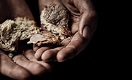 Preventing the Next Famine