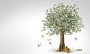 Доллар резко подешевел в РК после решения ОПЕК снизить добычу нефти