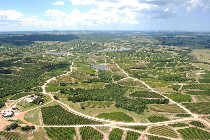 Bodega Garzon in Uruguay
