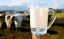 Чем чревата гармонизация цен на молоко для Казахстана