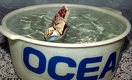На дневной сессии KASE курс доллара к тенге снова значительно вырос