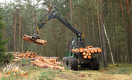 How Can the EU Achieve Deforestation-Free Supply Chains?