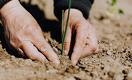 These Three Steps Can Improve Food Security in Central and West Asia