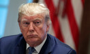 Демократы планируют предъявить Трампу два обвинения в деле об импичменте