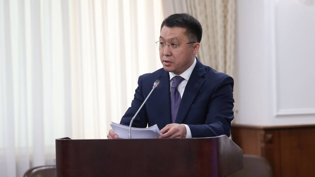 Министр транспорта Марат Карабаев выступает на заседании правительства РК