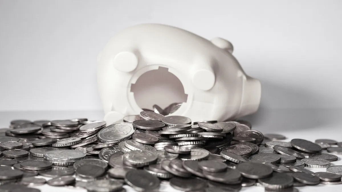 копилка монеты свинья piggy bank