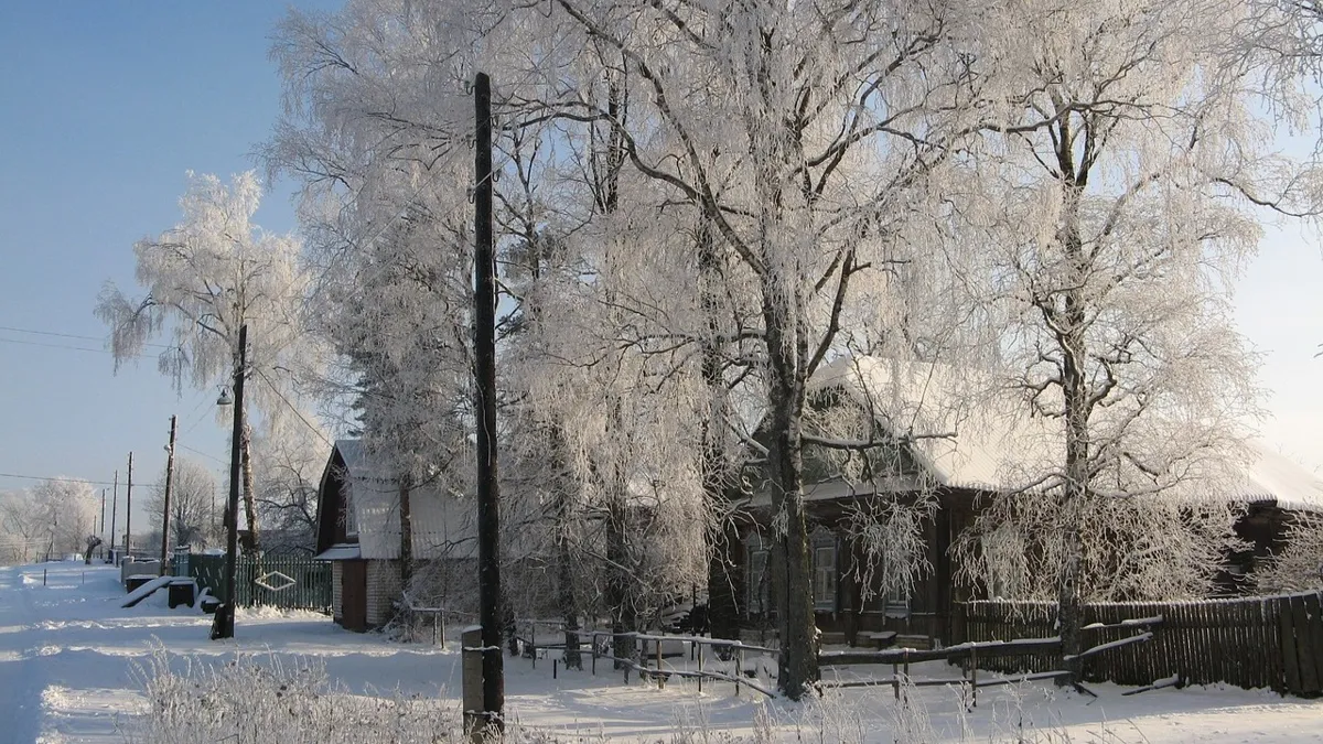 Домики в заснеженных деревьях