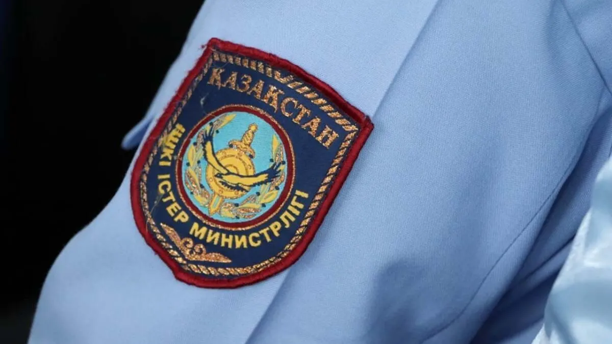Эмблема МВД 
