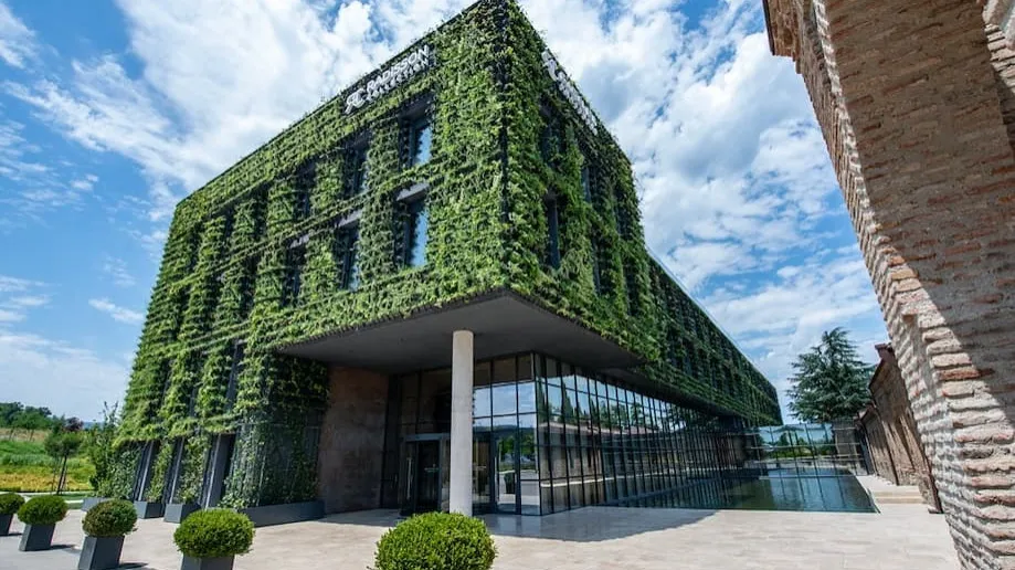 Отель Tsinandali Estate Цинандали, Radisson Collection Hotel Tsinandali Estate Georgia