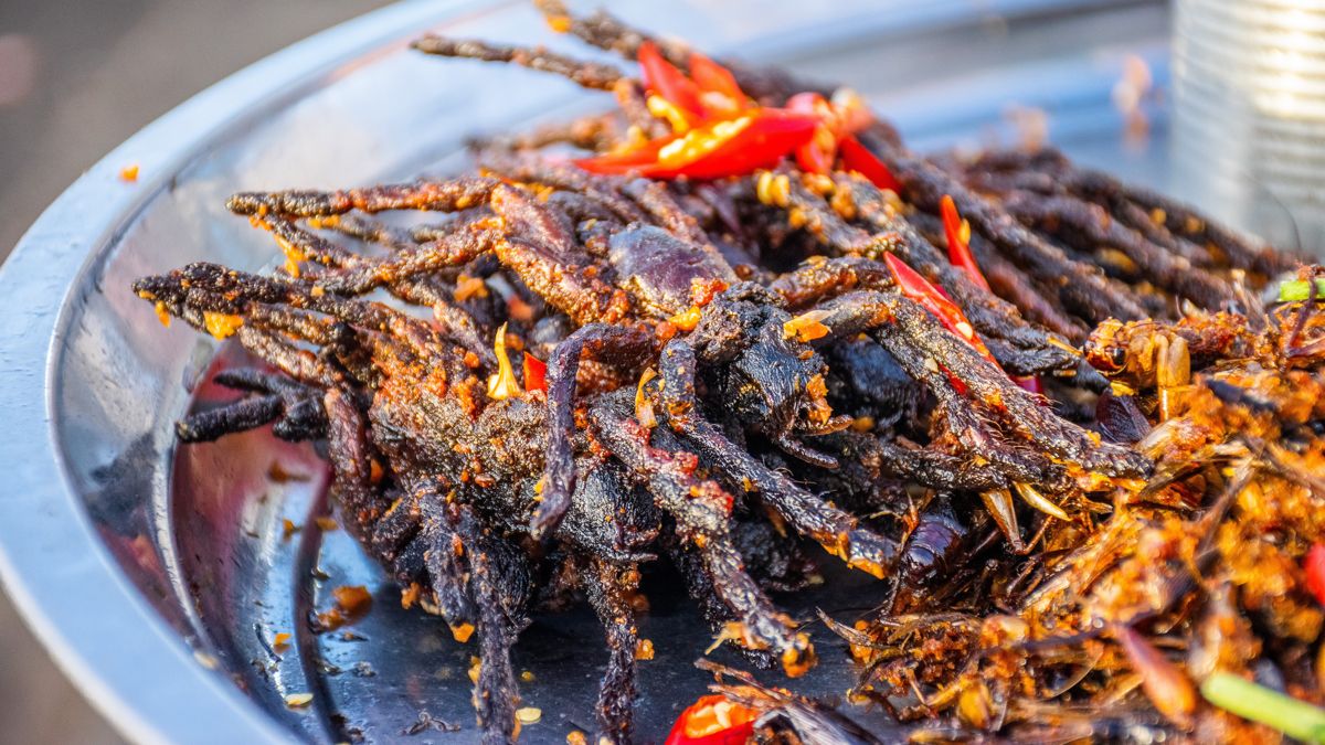 Жареные пауки как уличная еда в Камбодже Жареные пауки как уличная еда на тарелке