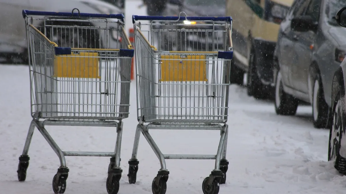 продуктовая тележка супермаркет