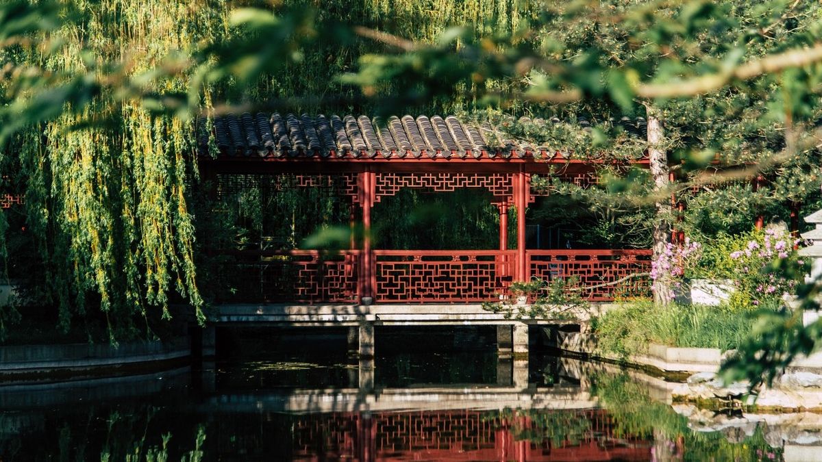 сад беседка пруд