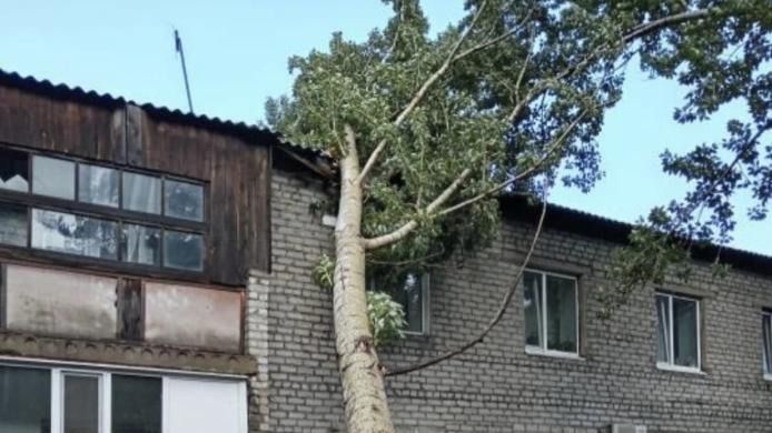 Ветер повалил множество деревьев Дерево упало на дом, ураган, Павлодарская область