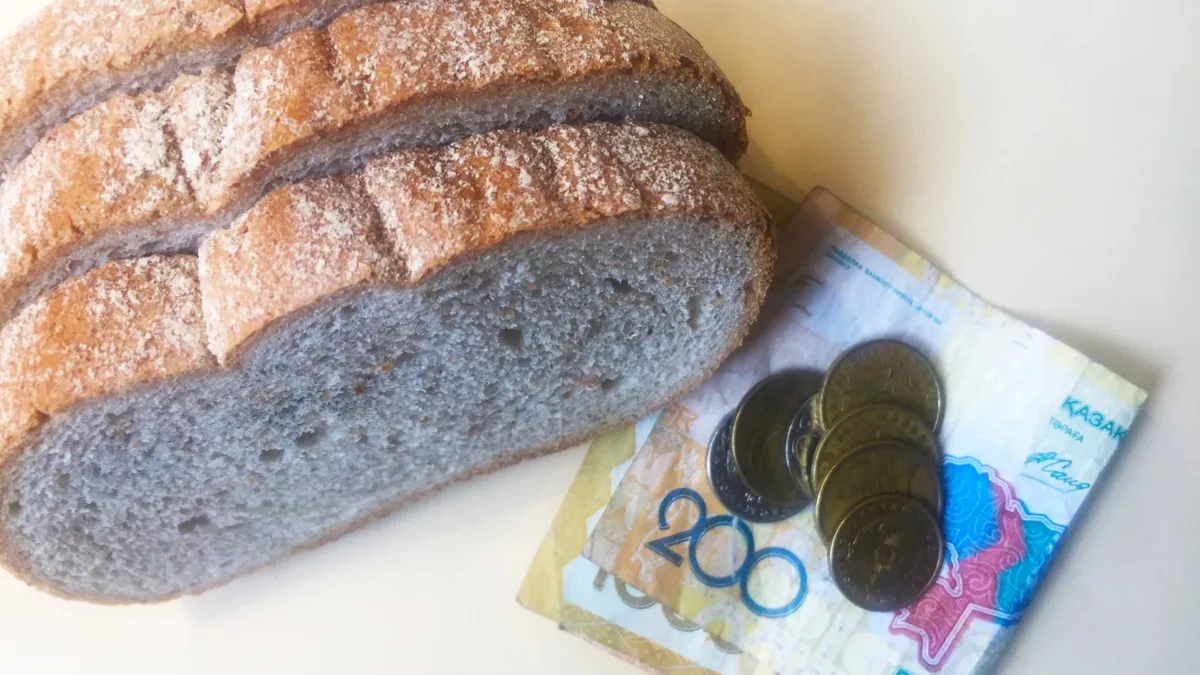 Оплата на многих рабочих местах слишком низка, чтобы обеспечить даже некое подобие благополучия Кусочки старого испорченного хлеба и денег. Банкноты 200, 1000 казахстанских тенге и различные монеты