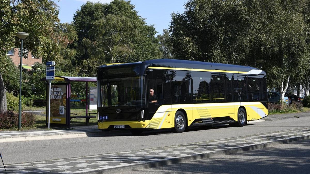 автобус BYD