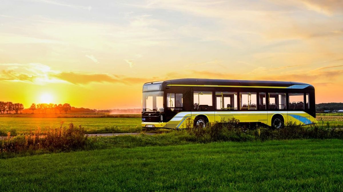 автобус BYD