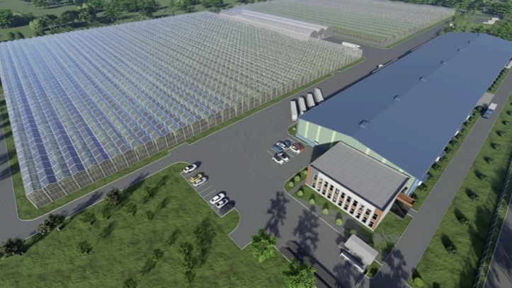 Овощехранилище Alatau Green Production будет построено в Алматы Проект Овощехранилище Alatau Green Production