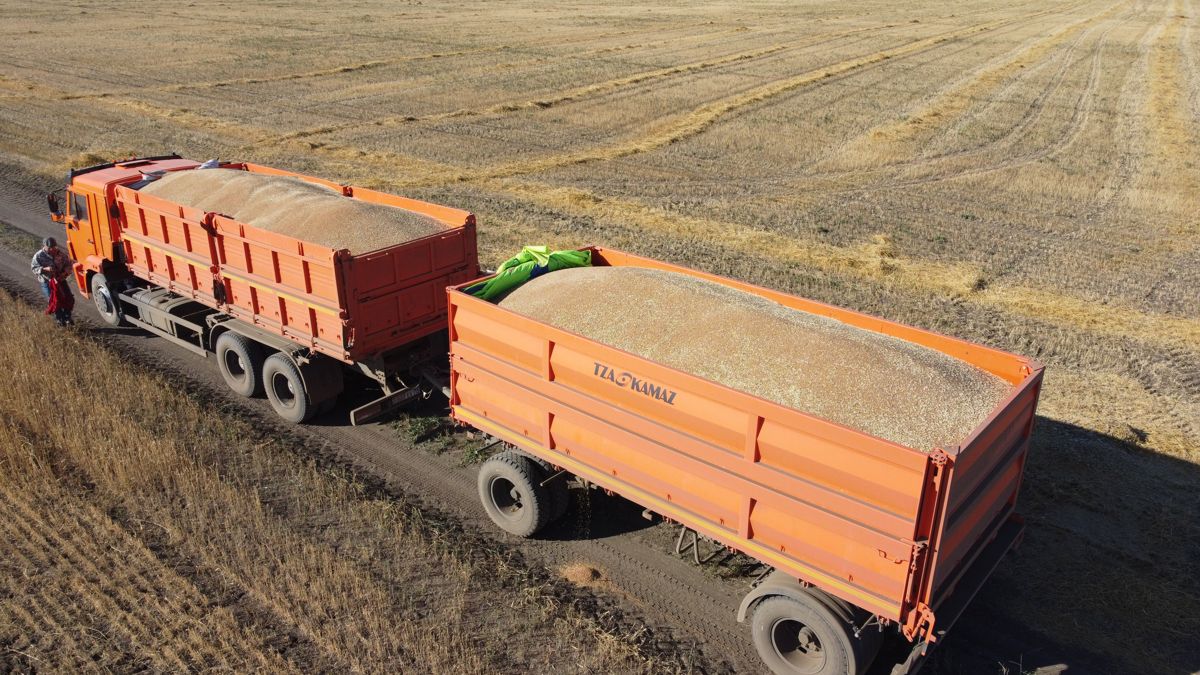 Verum Agro