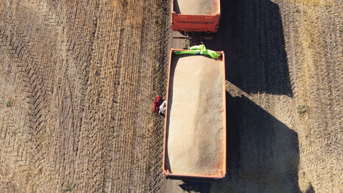 Verum Agro